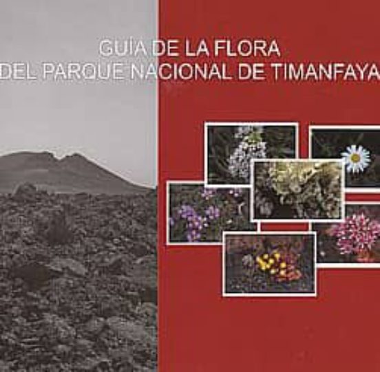 Paisajes Del Parque Nacional Del Teide