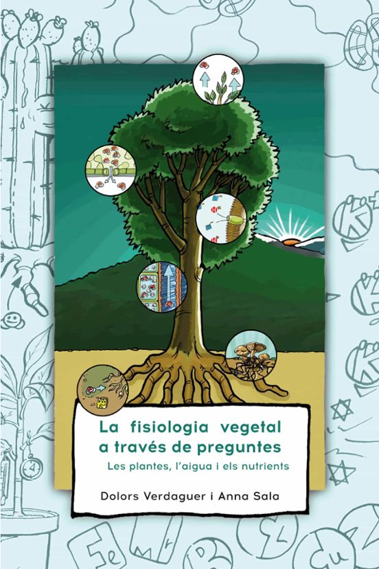 La Fisiologia Vegetal A Traves De Preguntes: Les Plantes L Aigua I Els