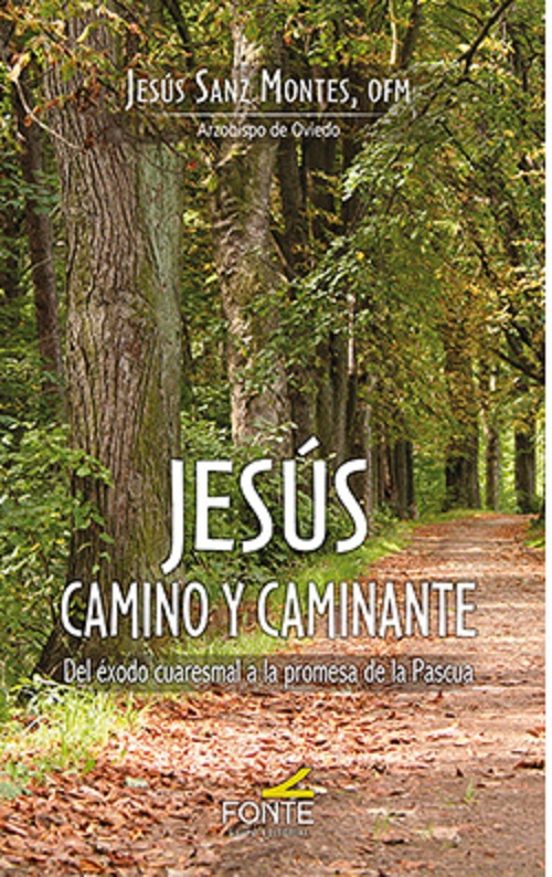 Jesús Camino Y Caminante