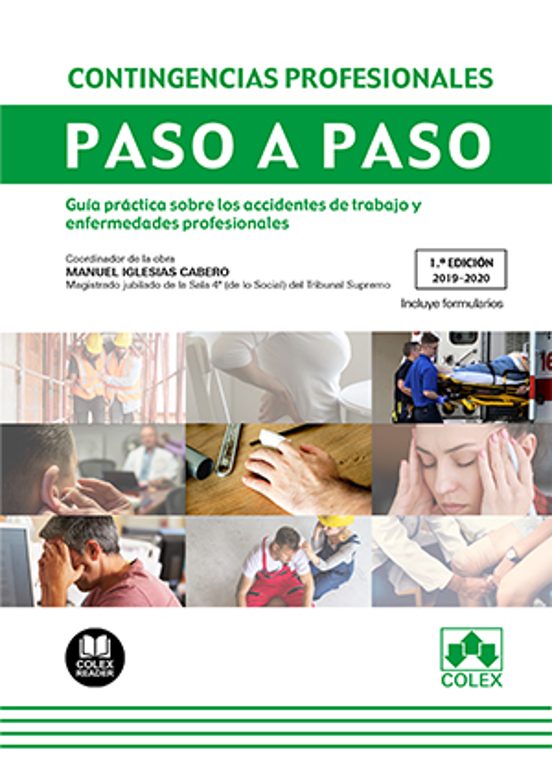 Contingencias Profesionales Paso A Paso