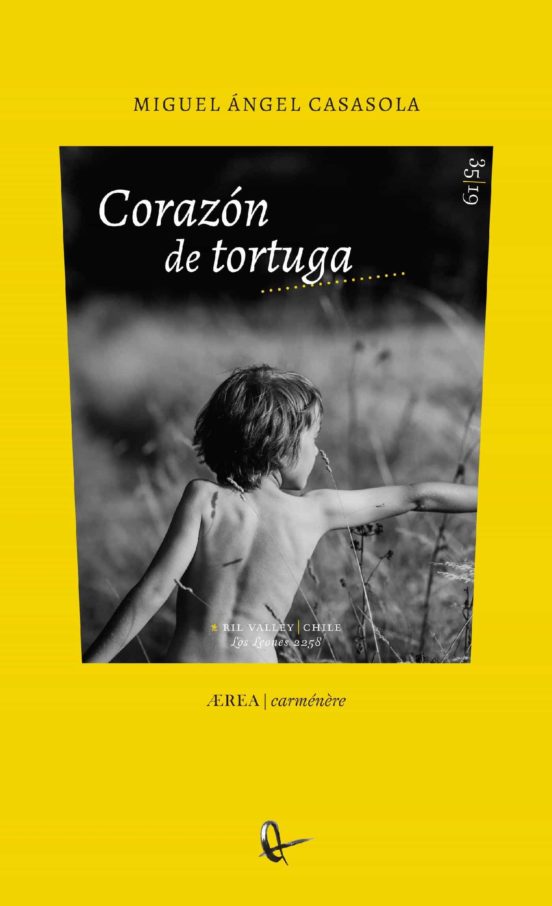 Corazón De Tortuga