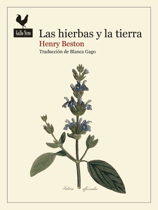 Las Hierbas Y La Tierra