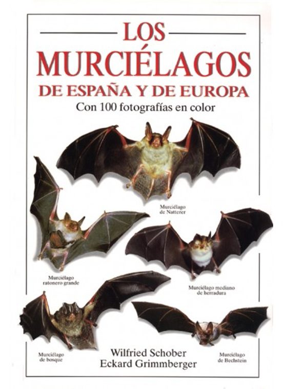 Los Murcielagos de España y Europa