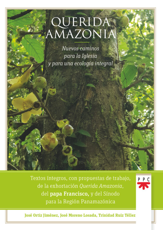 Querida Amazonia: Nuevos Caminos Para La Iglesia Y Para Una Ecologia I