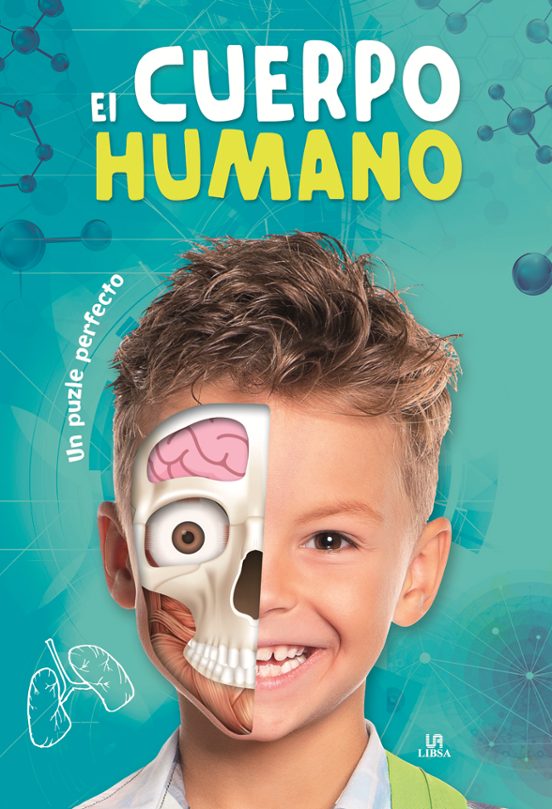 El Cuerpo Humano: Un Puzle Perfecto