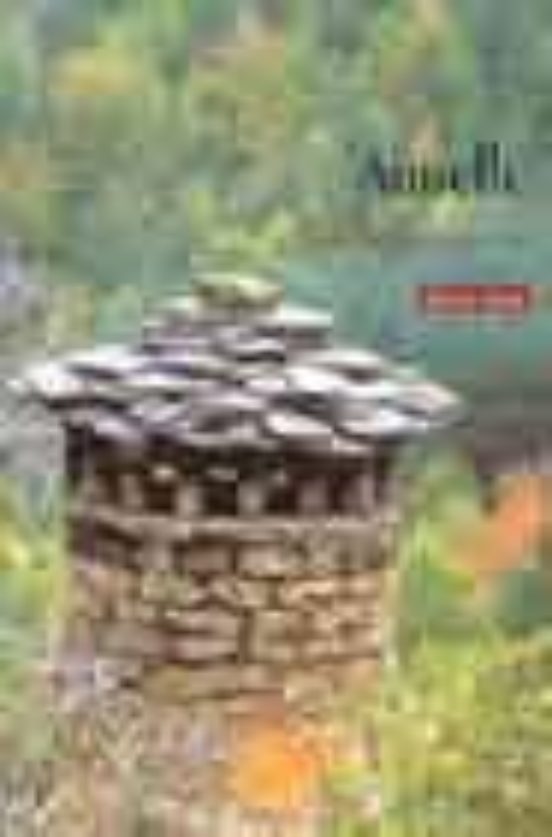 Ainielle: La Memoria Amarilla