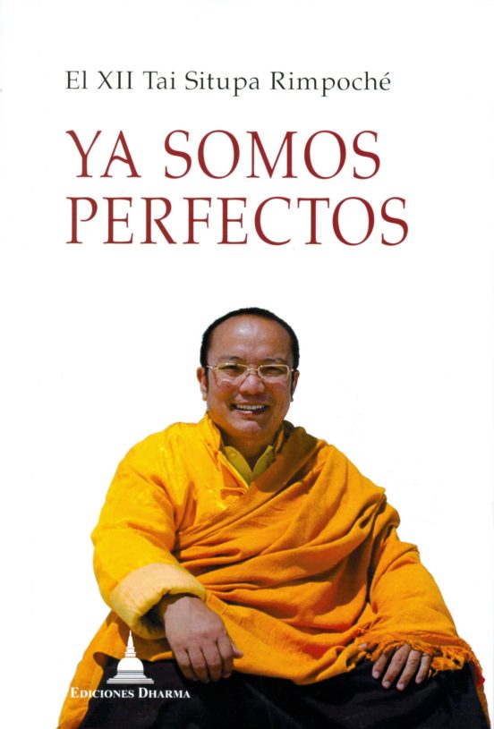 Ya Somos Perfectos