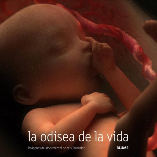 La Odisea De La Vida