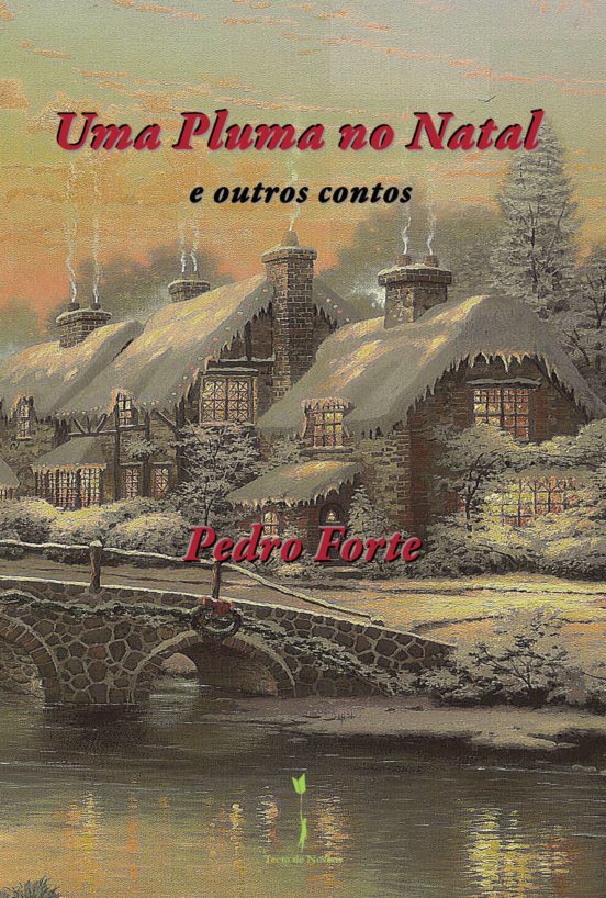 Uma Pluma no Natal