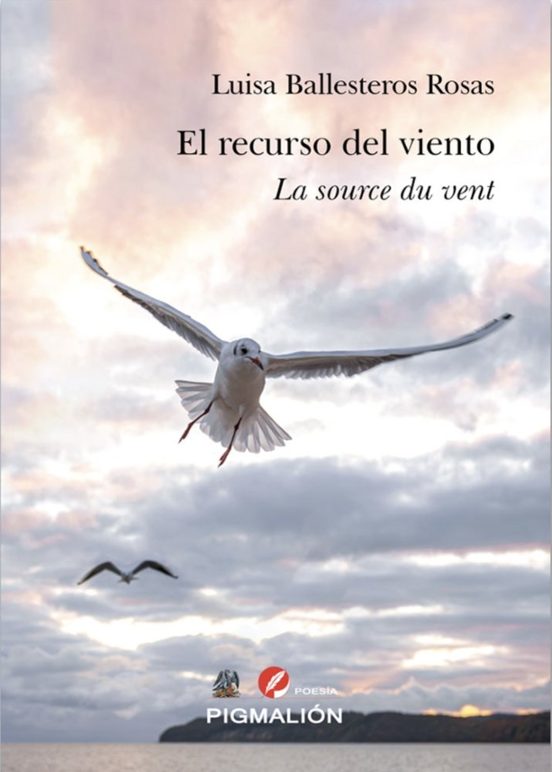 El Recurso del Viento / la Source du Vent