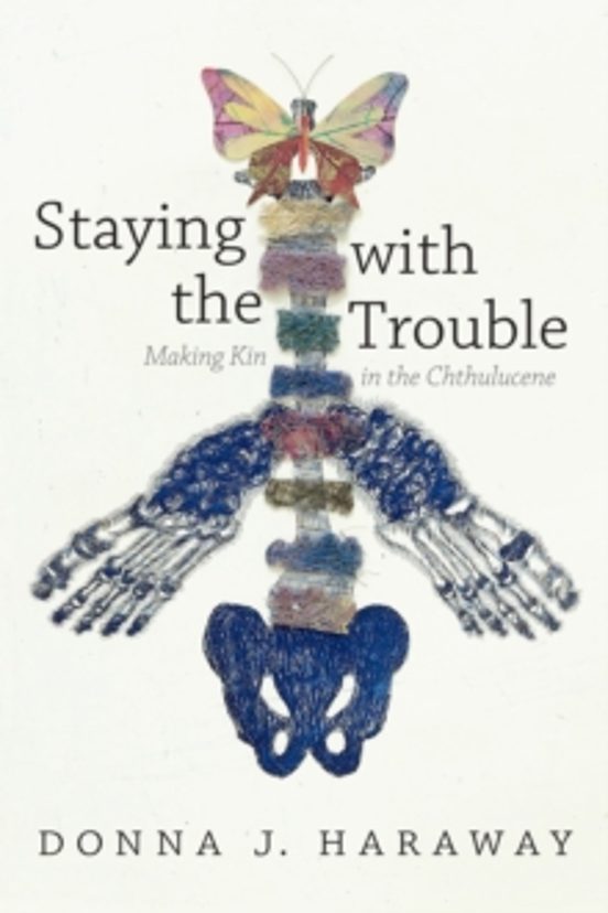 Staying With The Trouble