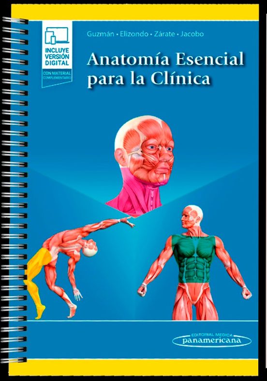 Anatomia Esencial Para La Clinica