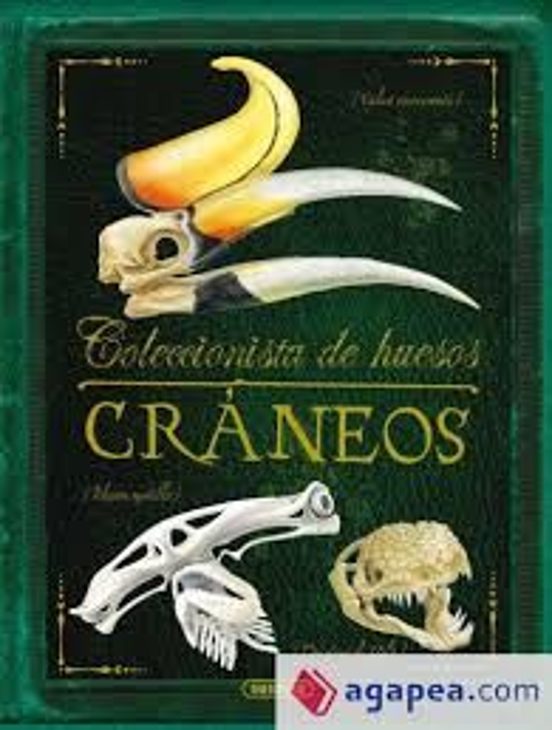 Cráneos