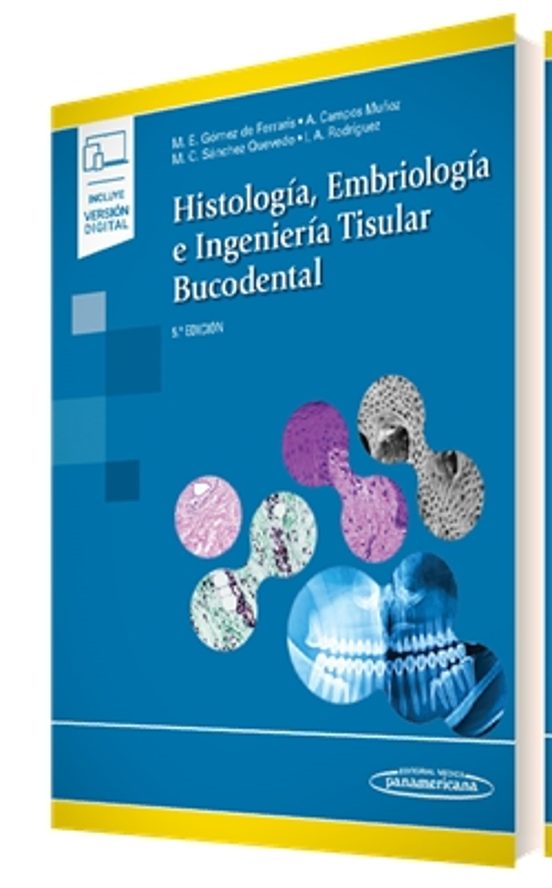 Histología Embriología E Ingeniería Tisular Bucodental