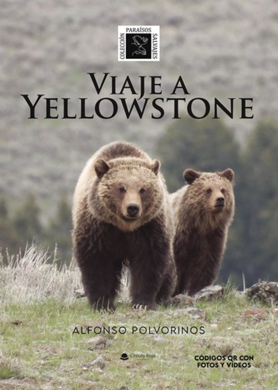 Viaje A Yellowstone