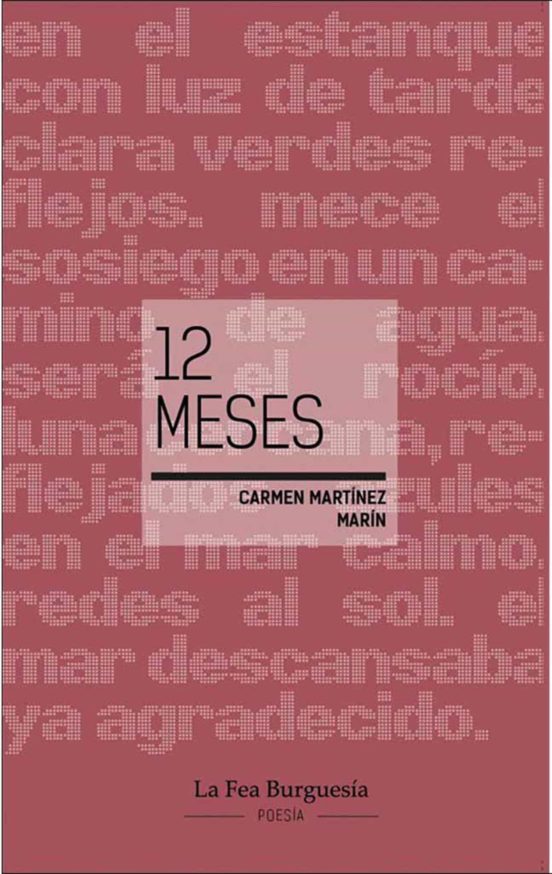 12 Meses