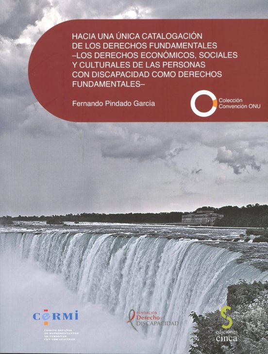 Hacia Una Unica Catalogacion De Los Derechos Fundamentales - Los Derec