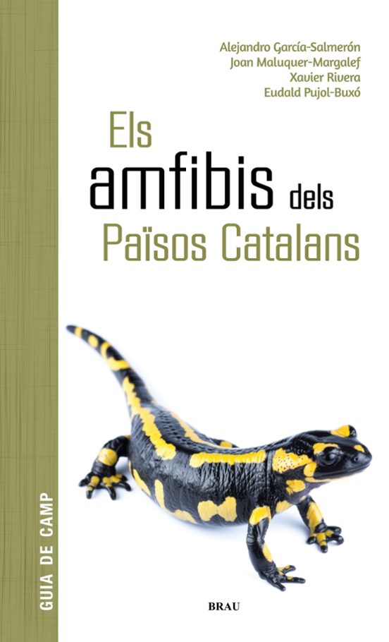 Els Amfibis Dels Països Catalans