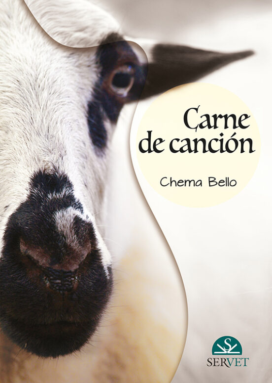 Carne De Canción
