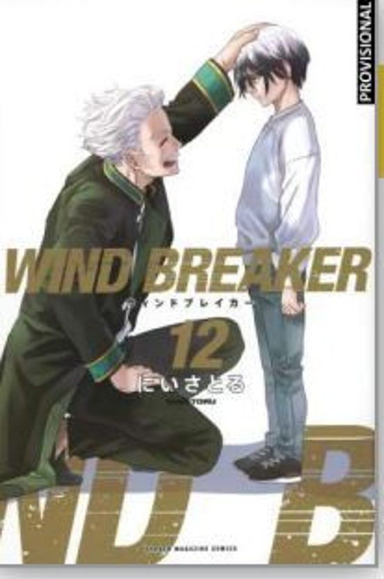 Wind Breaker 12