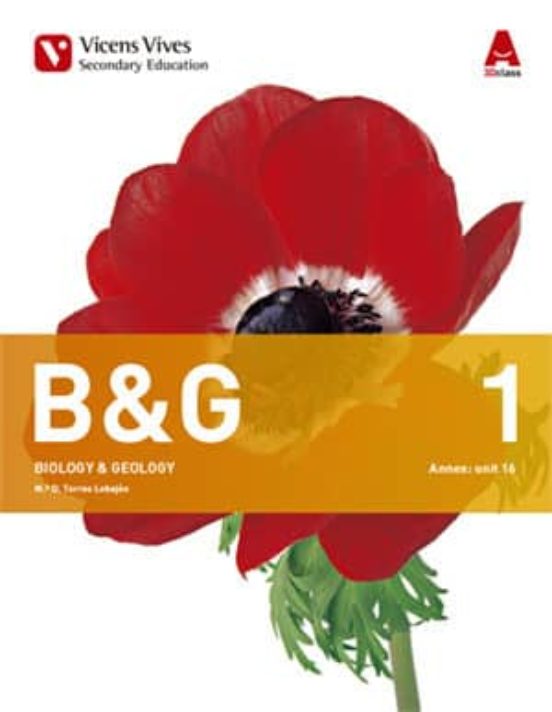 B&g 1. Aragón.cas.leónc. Madridr.murcia. Tree Books and Annex B