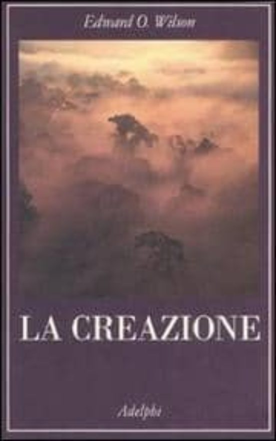 La Creazione