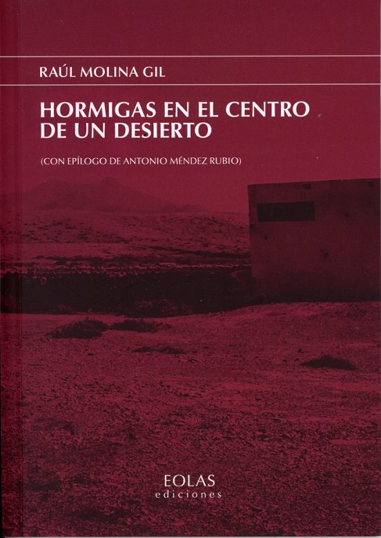 Hormigas En El Centro De Un Desierto