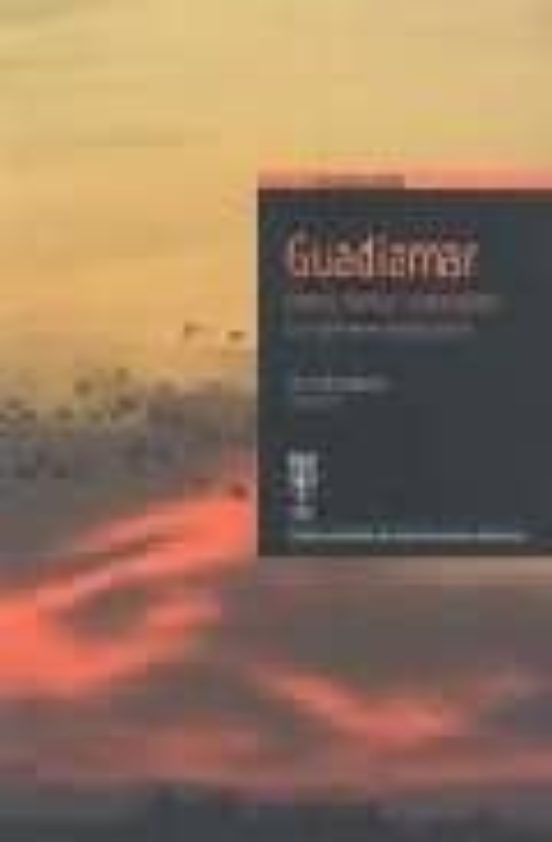 Guadiamar: Ciencia Tecnica Y Retauracion: El Accidente Minero Di Ez Añ