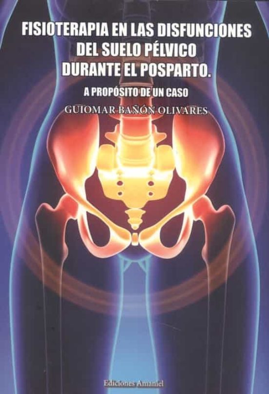 Fisioterapia En Las Disfunciones Del Suelo Pelvico Durante El Posparto
