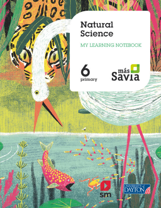 Natural Science 6º Educacion Primaria Workbook Proyecto Mas Savia Ed 2