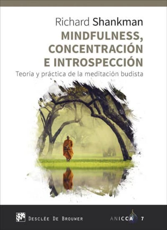 Mindfulness Concentración E Introspección