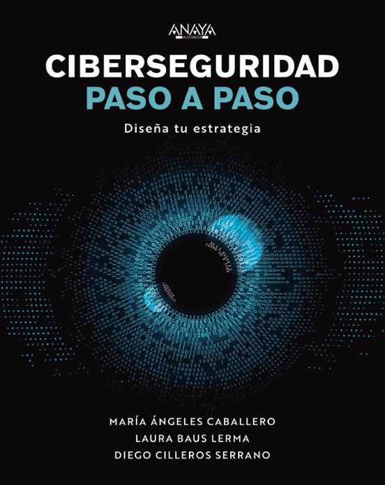 Ciberseguridad Paso A Paso