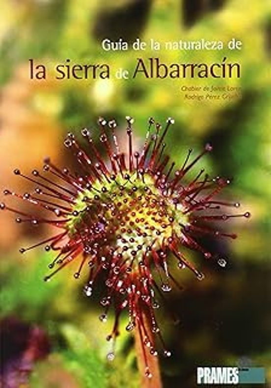 Guía de la naturaleza de la Sierra de Albarracín