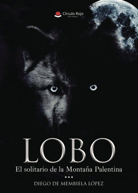 Lobo El Solitario De La Montaña Palentina