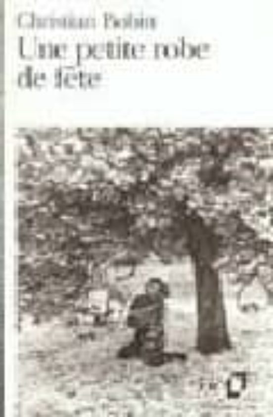 Une Petite Robe De Fete