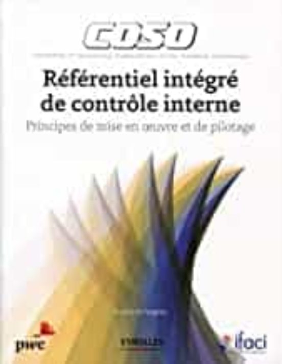 Coso : Référentiel Intégré De Contrôle Interne : Principes De Mise En
