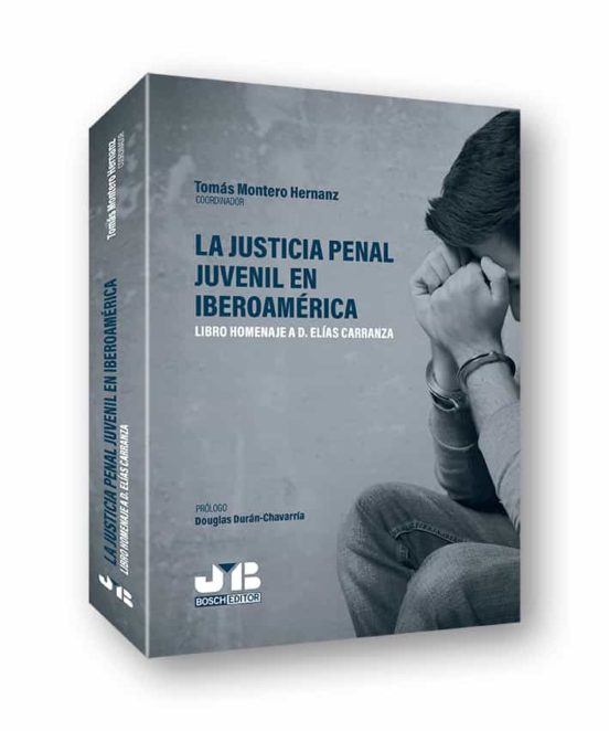 La Justicia Penal Juvenil En Iberoamérica