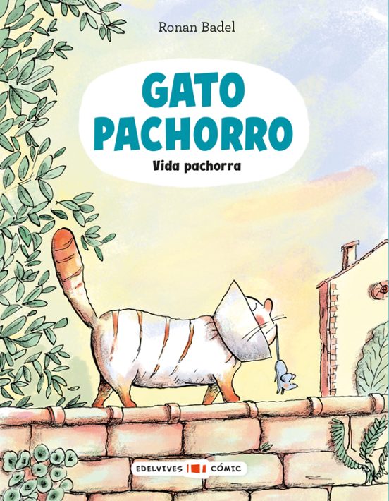 Gato Pachorro : Vida Pachorra