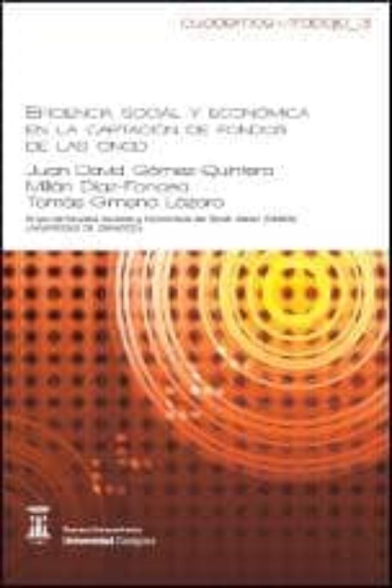 Eficiecia Social Y Economica En La Captacion De Fondos De Las Ong D