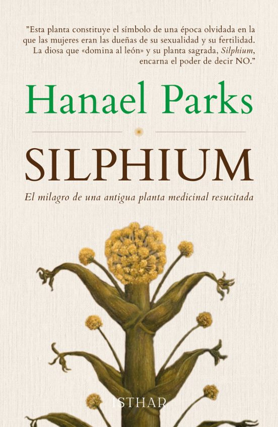 Silphium. El Milagro De Una Antigua Planta Medicinal Resucitada