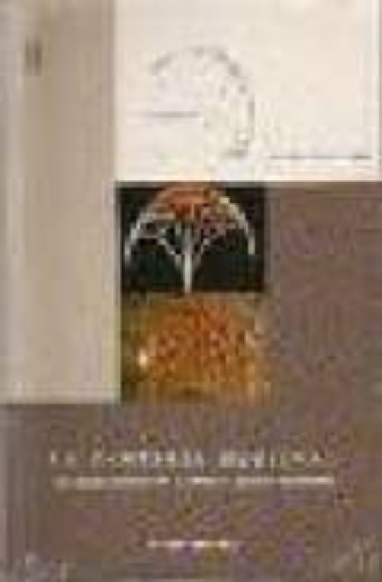 La Canteria Medieval: La Construccion De La Boveda Gotica Español A