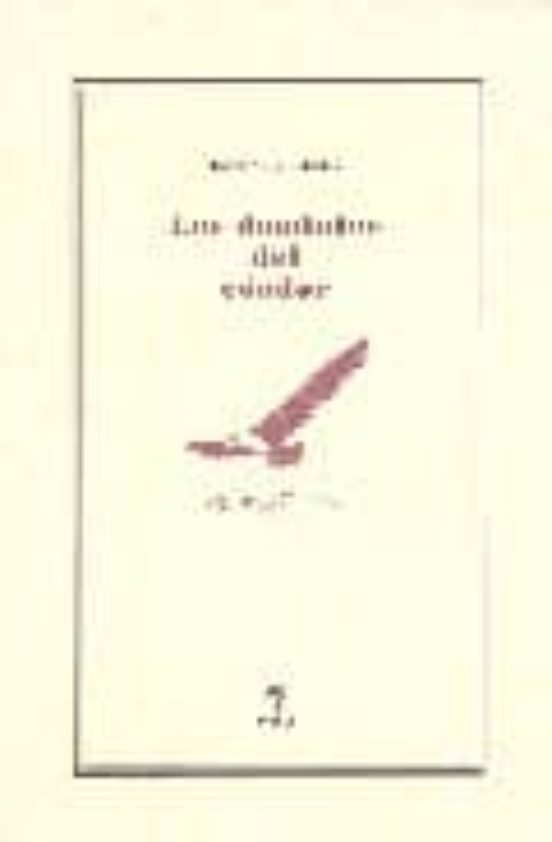Los Dominios Del Cóndor