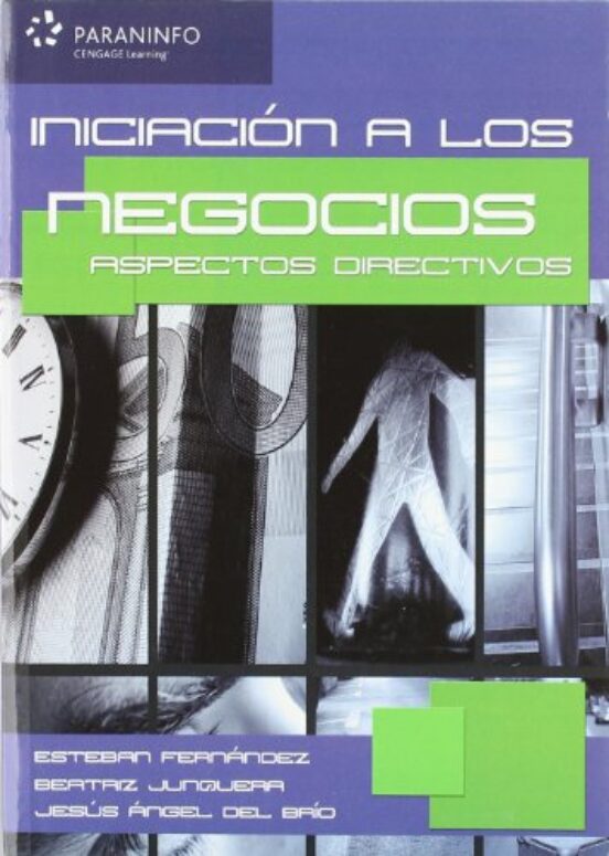 Iniciacion a los Negocios