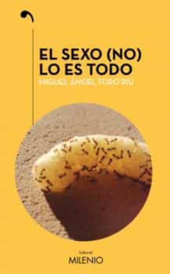 El Sexo Lo Es Todo