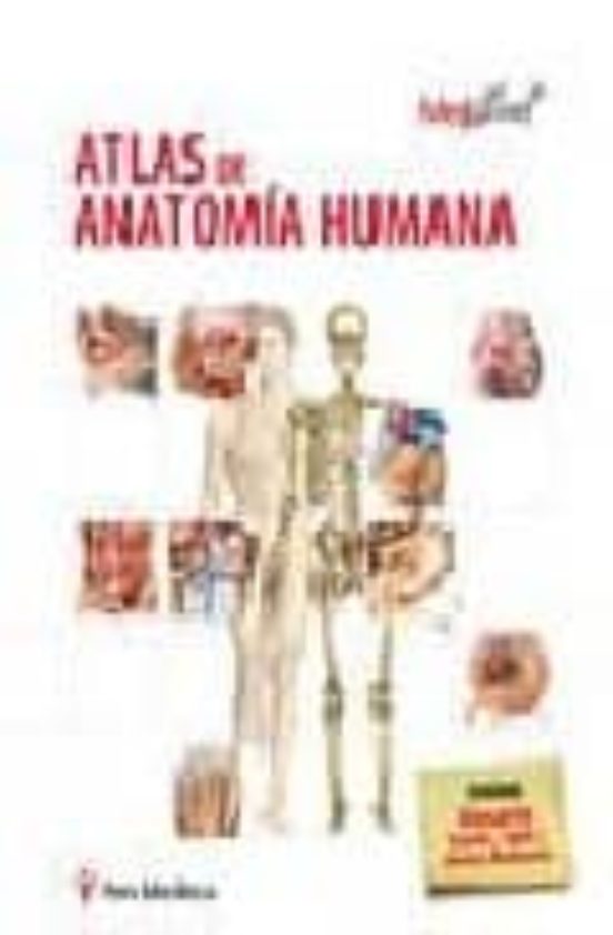 Atlas De Anatomia Humana Medillust
