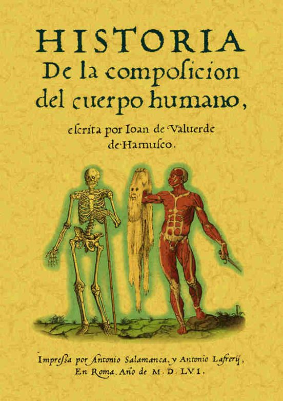Historia De La Composicion Del Cuerpo Humano