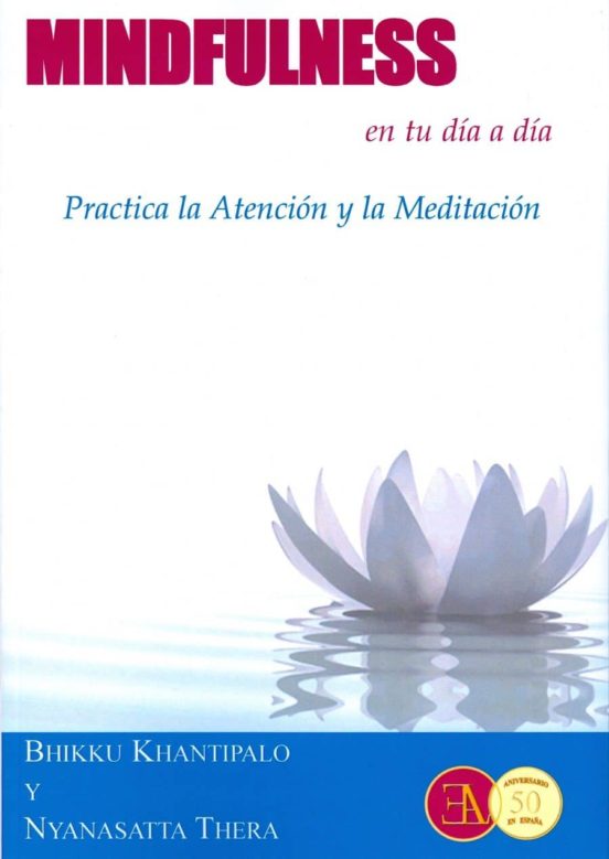 Mindfulness En Tu Dia A Dia: Practica De La Atencion Y La Meditacion