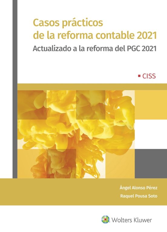 Casos Prácticos De La Reforma Contable 2021