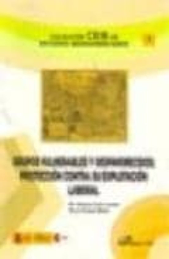 La Construcción Del MERCOSUR Social. Estructura Y Ámbitos De Actuación