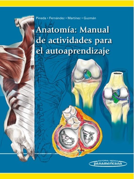Anatomía